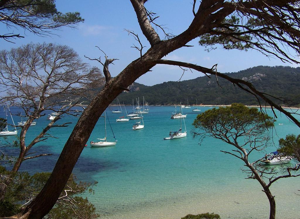Le Cube Hotel Design A Hyeres Plage Avec Piscine Et Cuisine Esterno foto